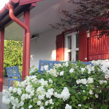 Nagymajor Birding Lodge Tiszacsege エクステリア 写真