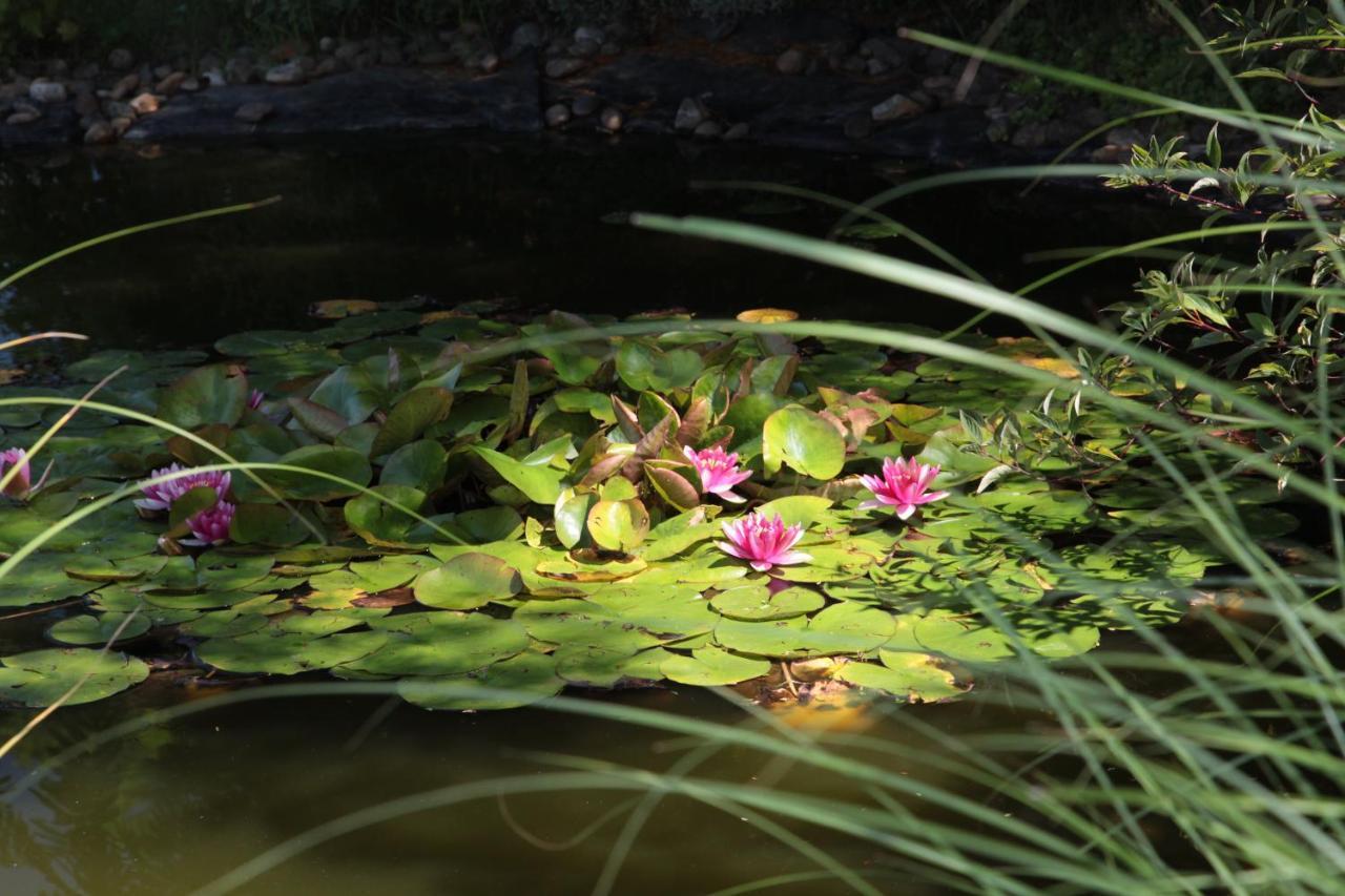 Nagymajor Birding Lodge Tiszacsege エクステリア 写真